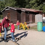 Installatie Bevers Installatie Bevers