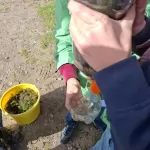 Water filteren en stamboom maken