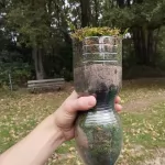 Water filteren en stamboom maken