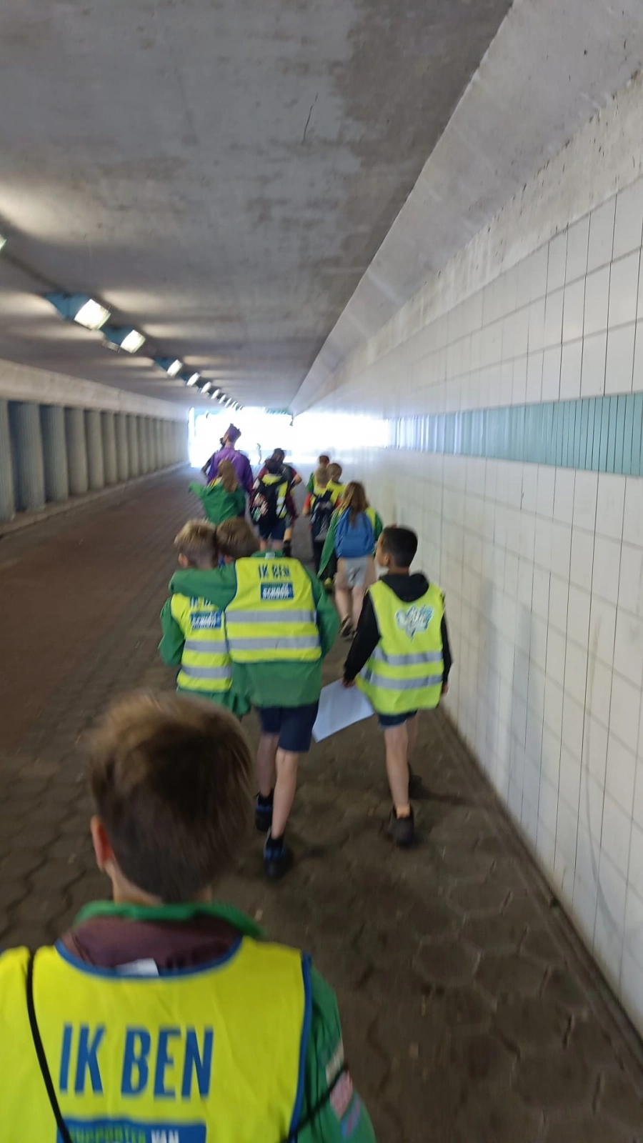 Zomerkamp welpen 2022 - Aladdin en de 40 rovers