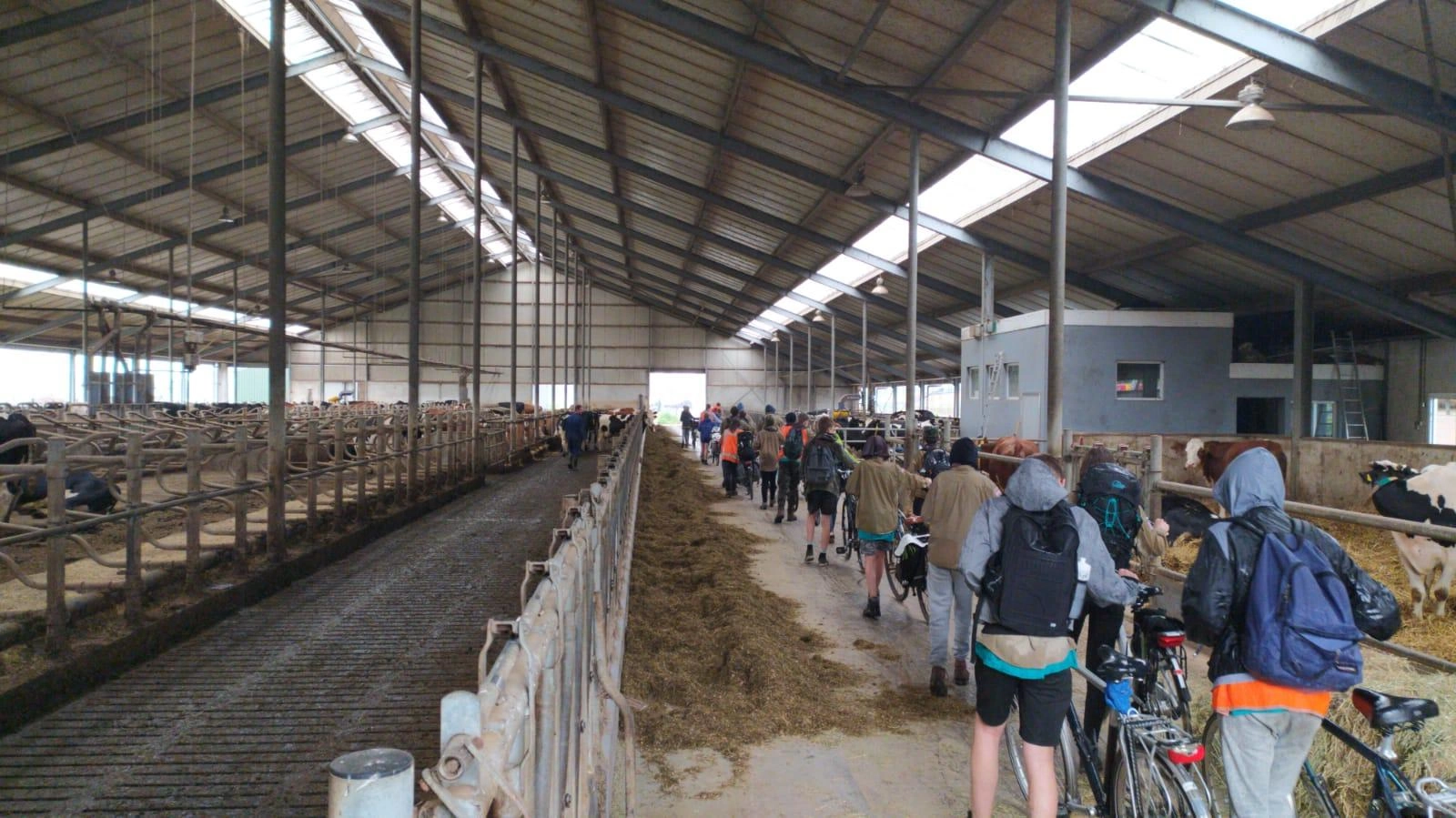 Piraten van de Koekendaal Piraten van de Koekendaal