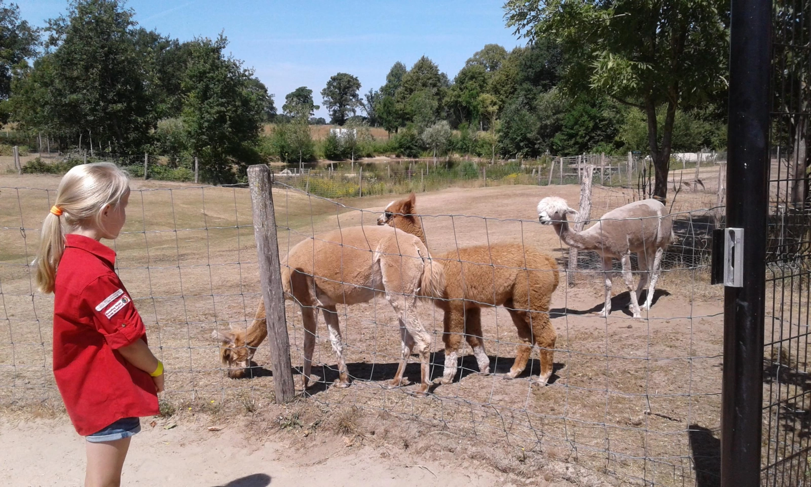 Beveruitje Beveruitje