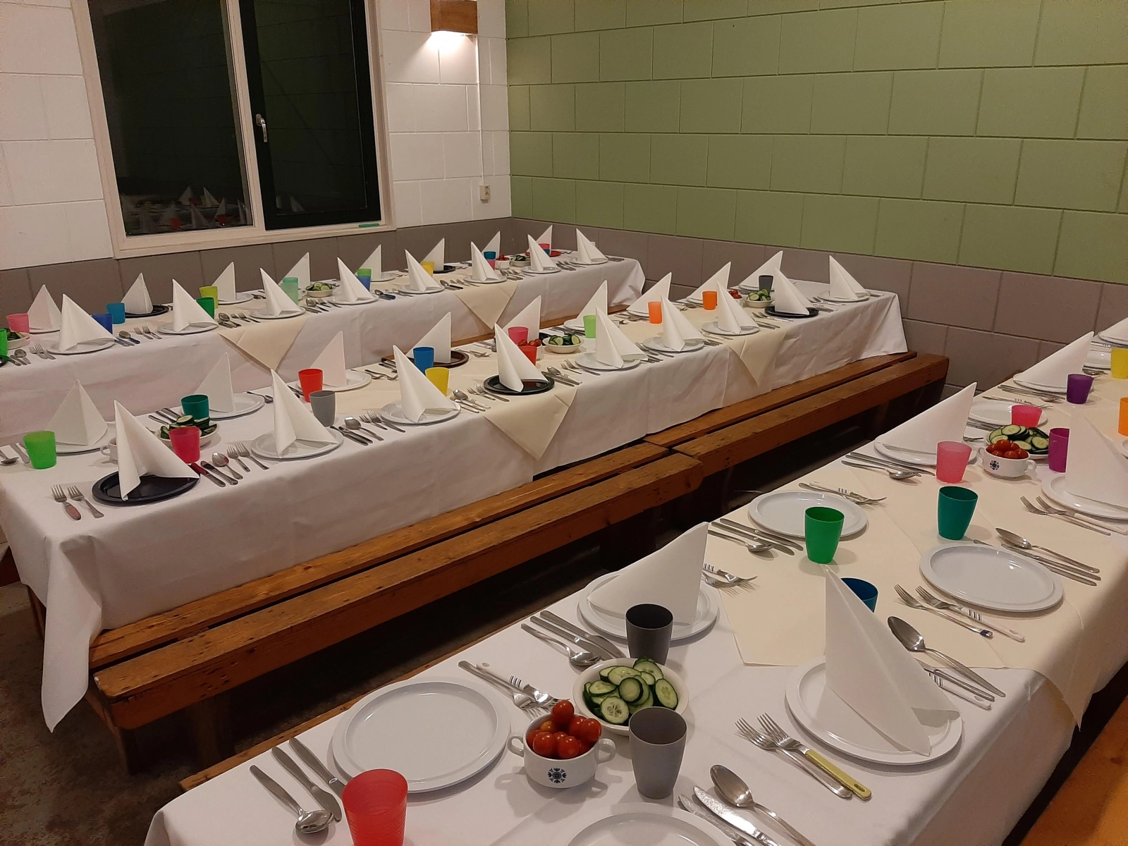 Moeder-welpen kamp Moeder-welpen kamp