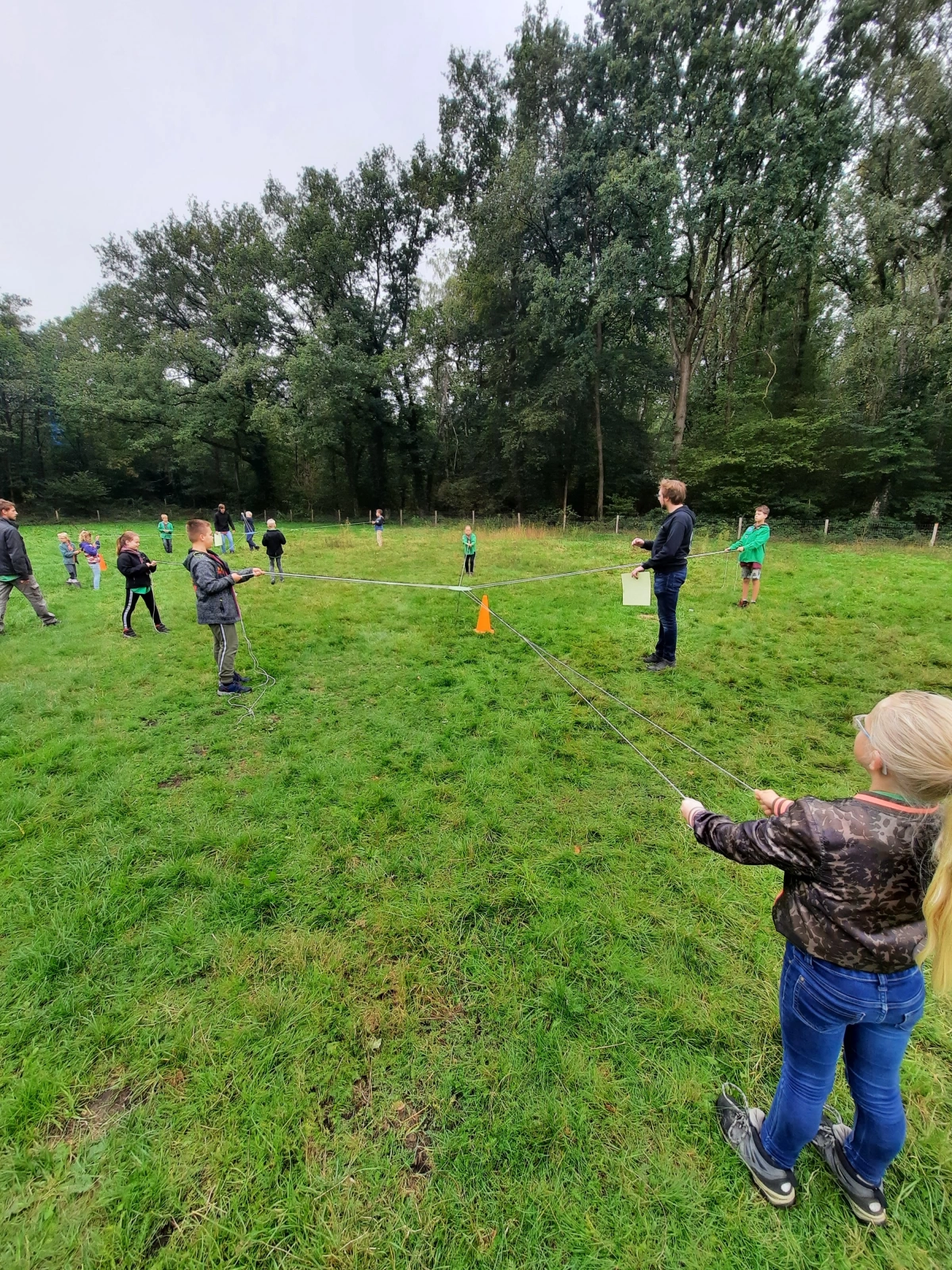 Wat een hoop welpen! Wat een hoop welpen!