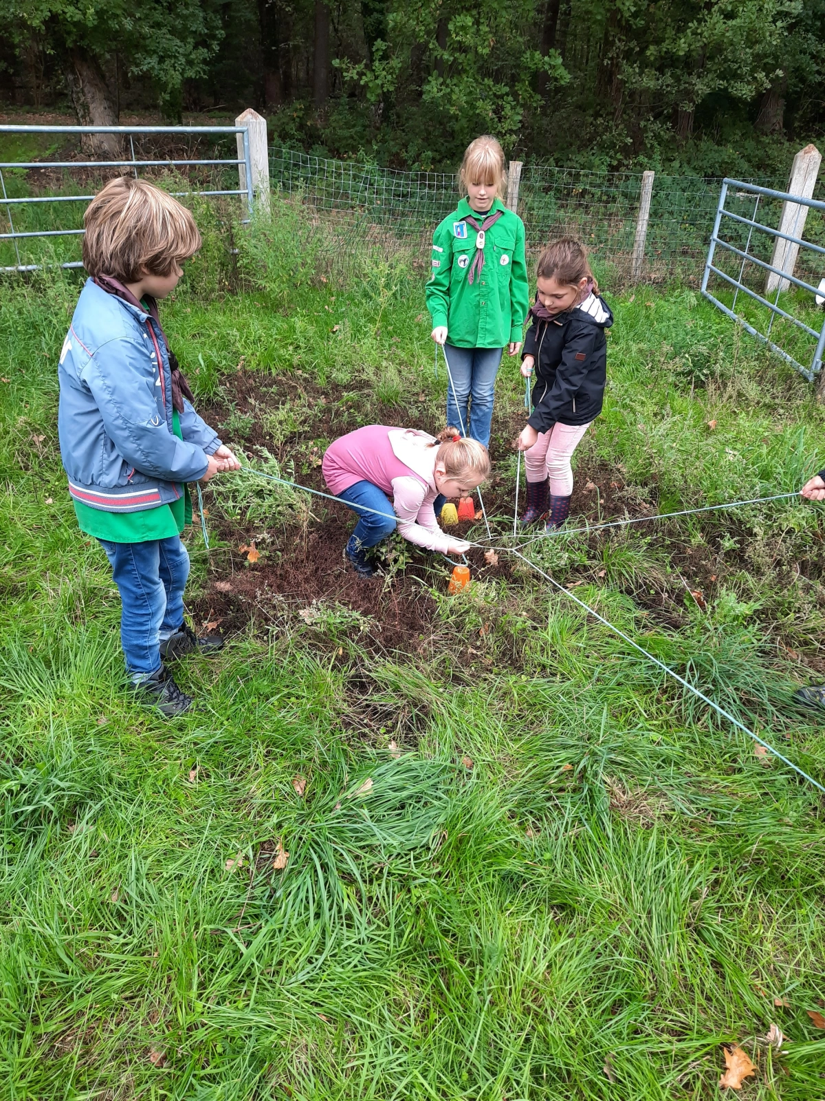 Wat een hoop welpen! Wat een hoop welpen!