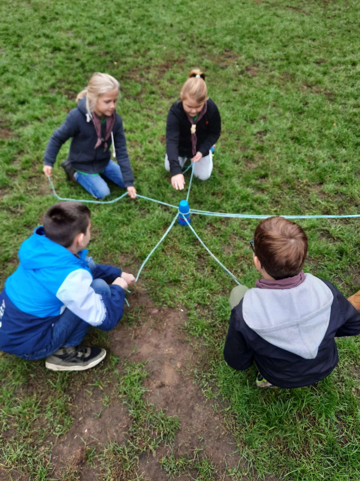 Wat een hoop welpen! Wat een hoop welpen!