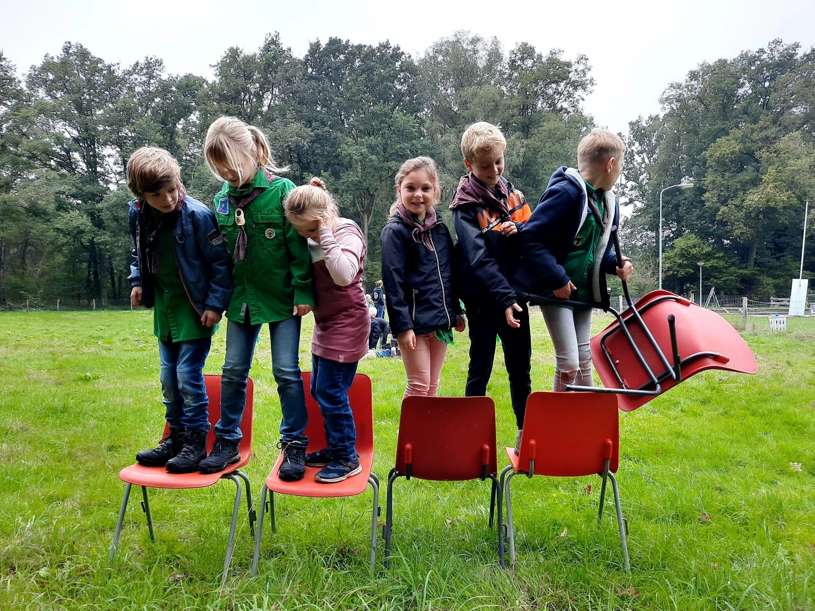 Wat een hoop welpen! Wat een hoop welpen!