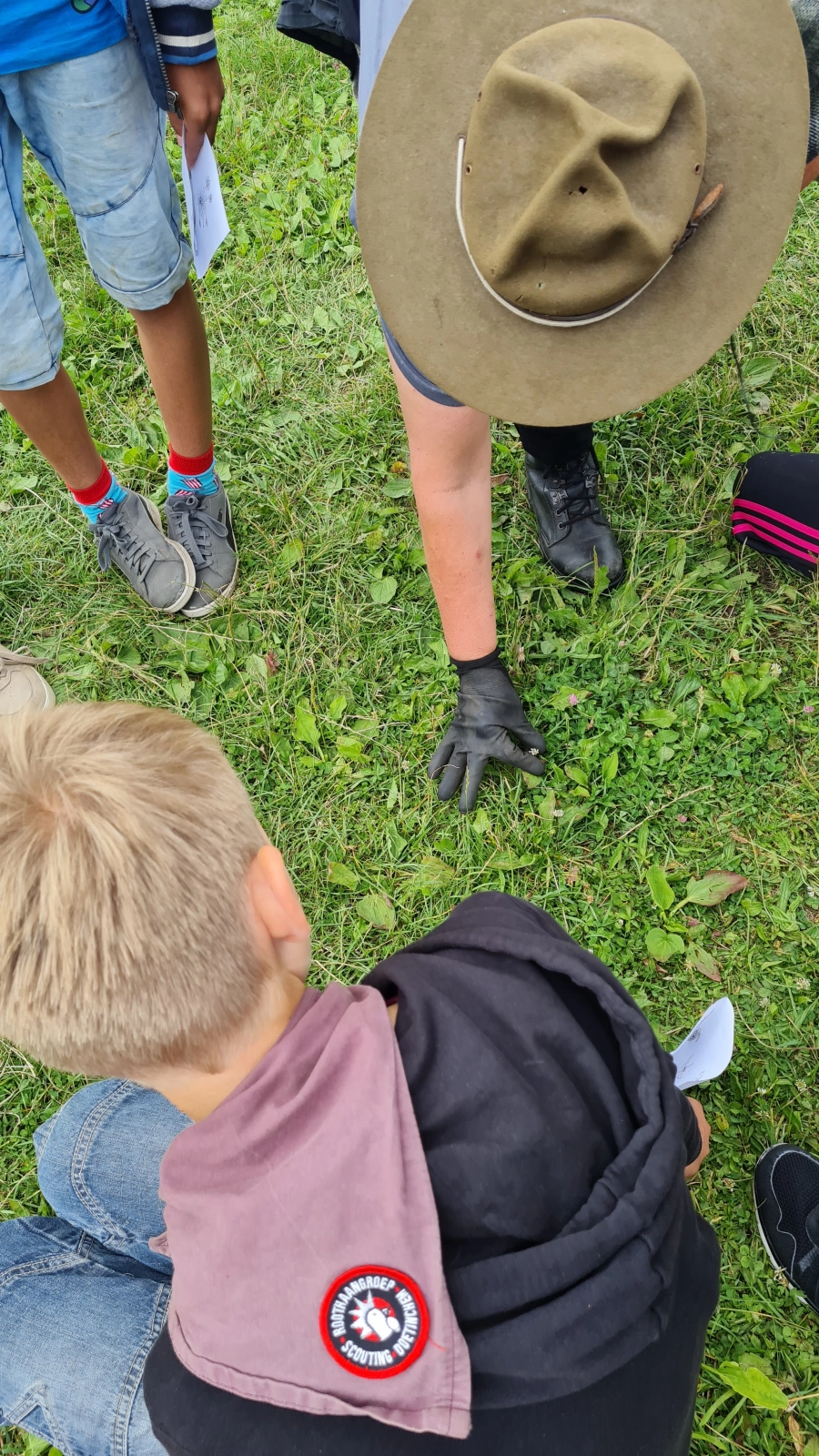 Op zoek naar wilde planten