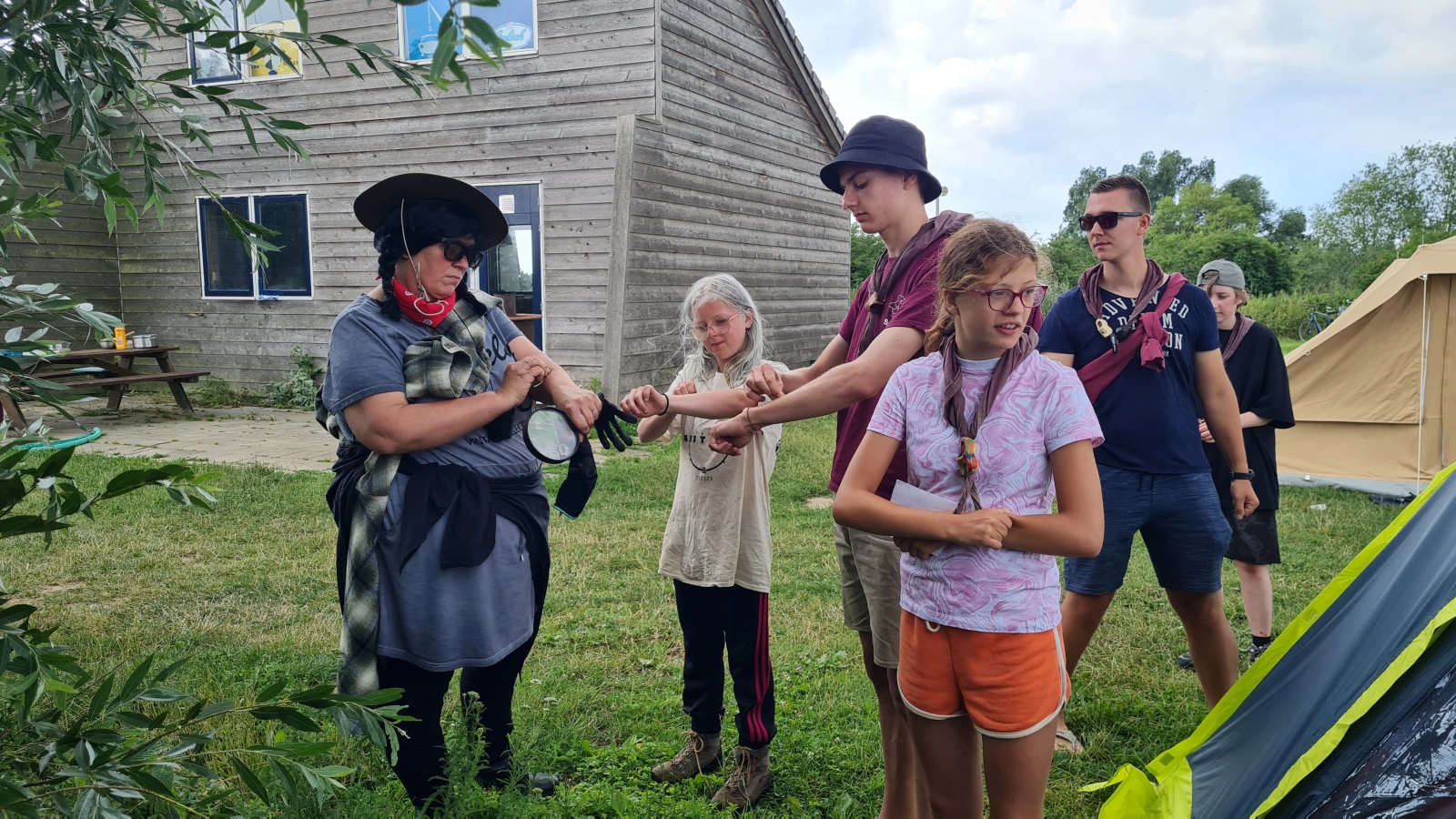 Op zoek naar wilde planten