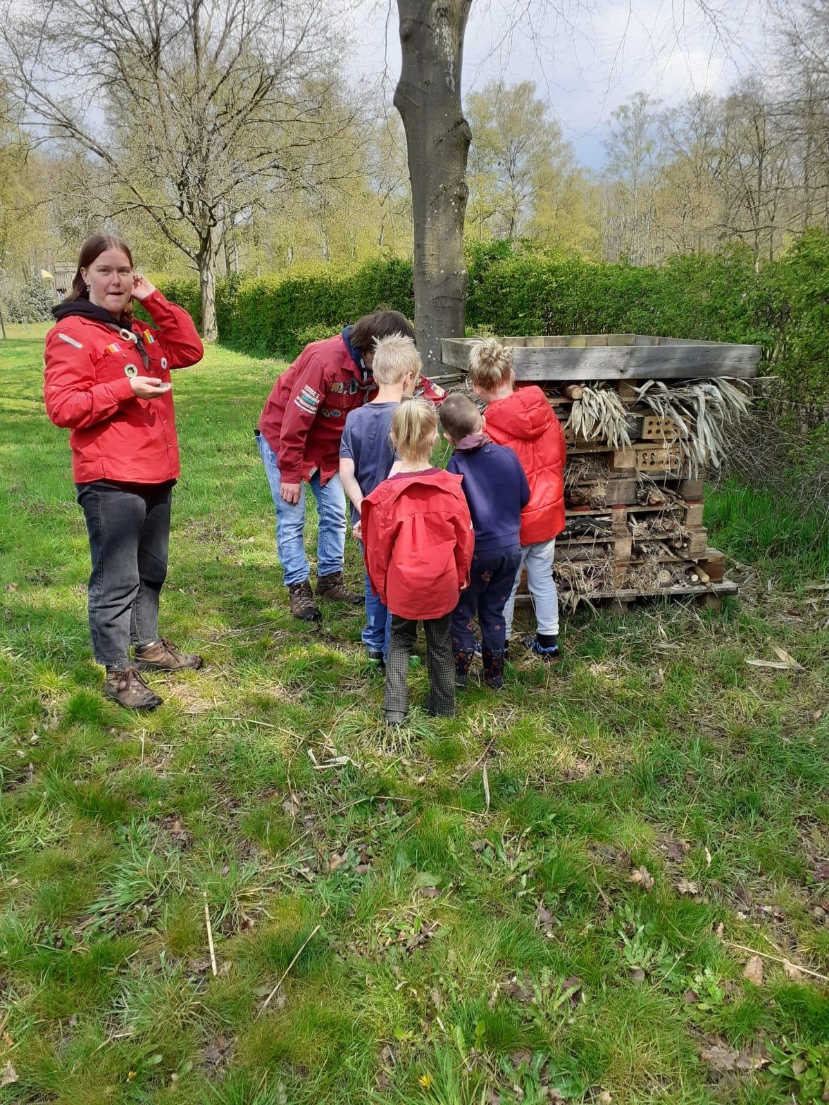 Bas Bos Badge Bas Bos Badge