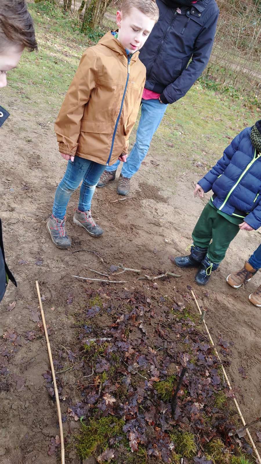 Tussen kunst en natuur