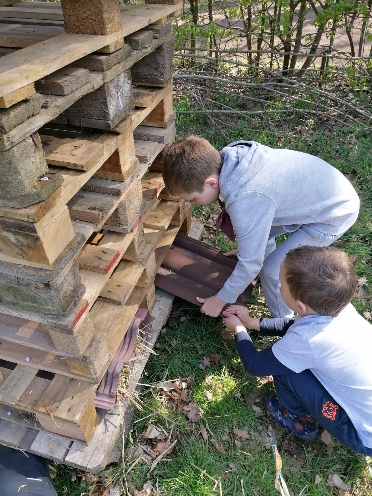 Bas Bos Badge Bas Bos Badge