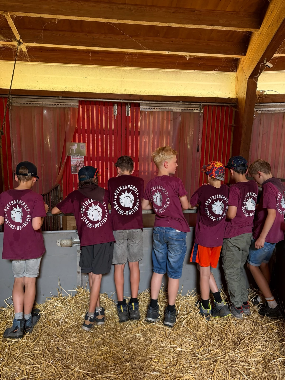 Het mysterie van de boerderij