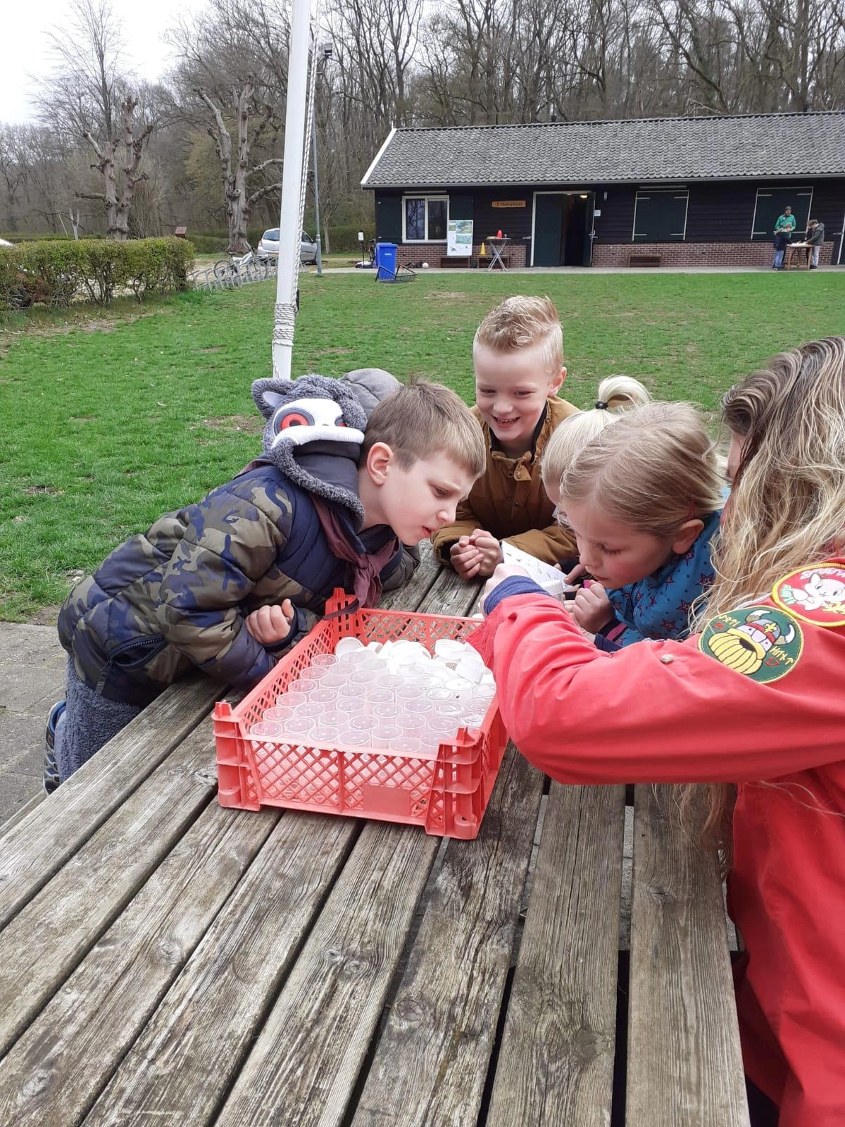 Bas Bos Badge Bas Bos Badge