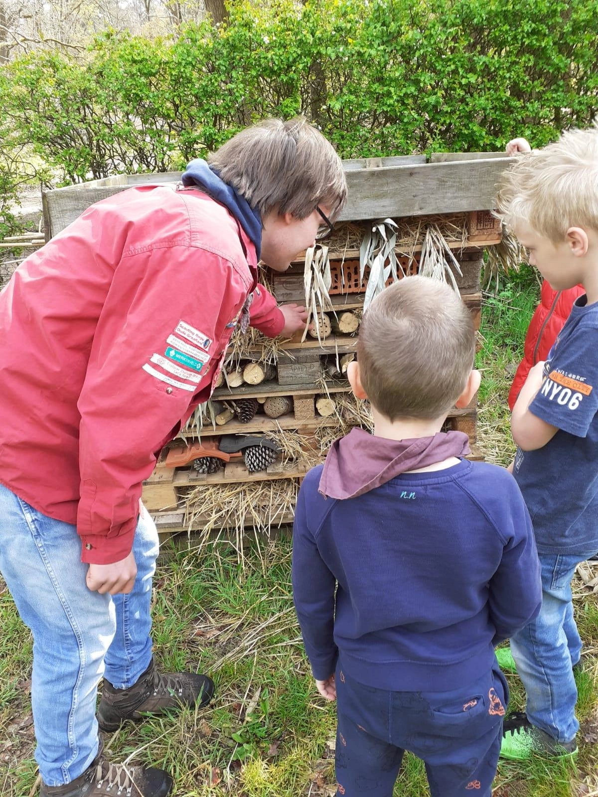 Bas Bos Badge Bas Bos Badge