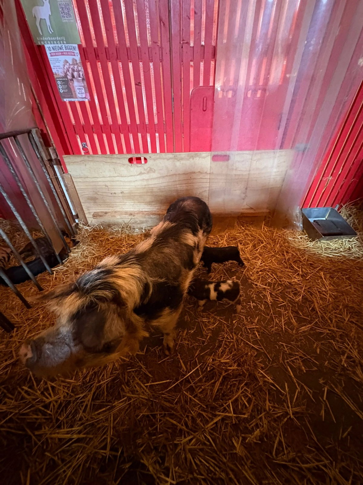 Het mysterie van de boerderij
