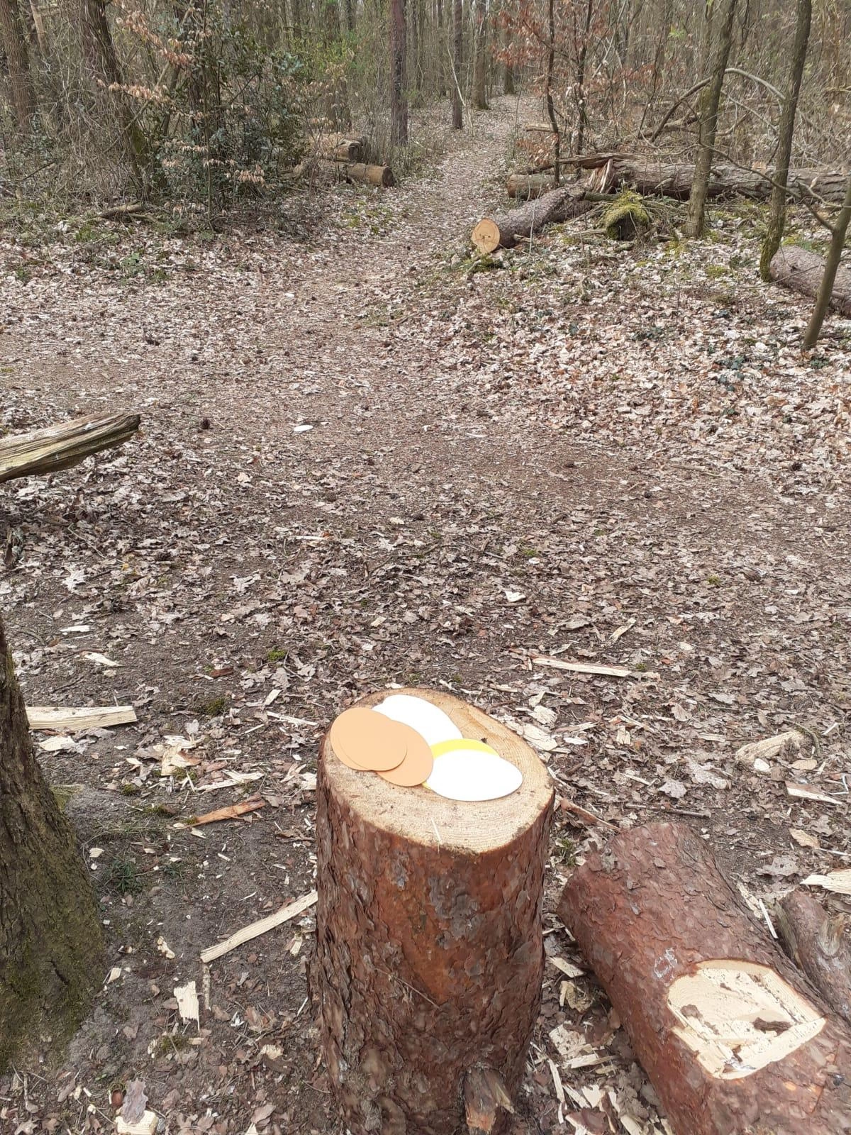 paaseieren zoeken paaseieren zoeken