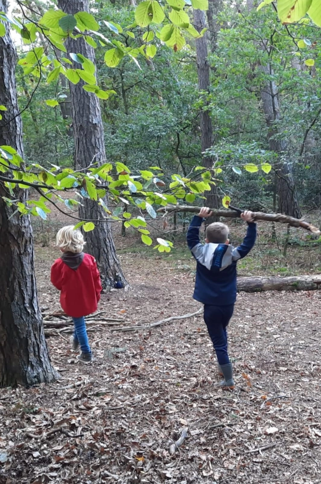 Sjouw, sjouw, aan de slag... Sjouw, sjouw, aan de slag...