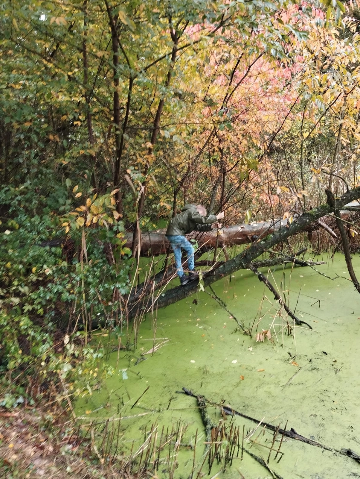 Beestjes zoeken en weer