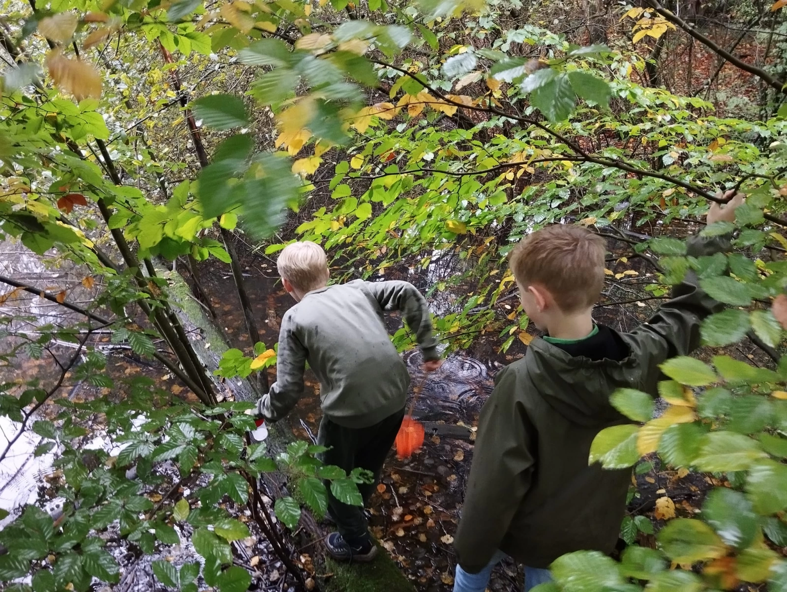Beestjes zoeken en weer