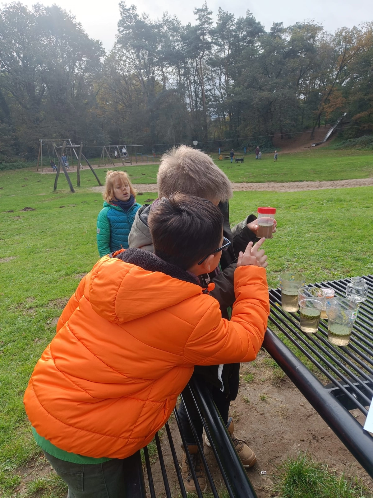 Beestjes zoeken en weer