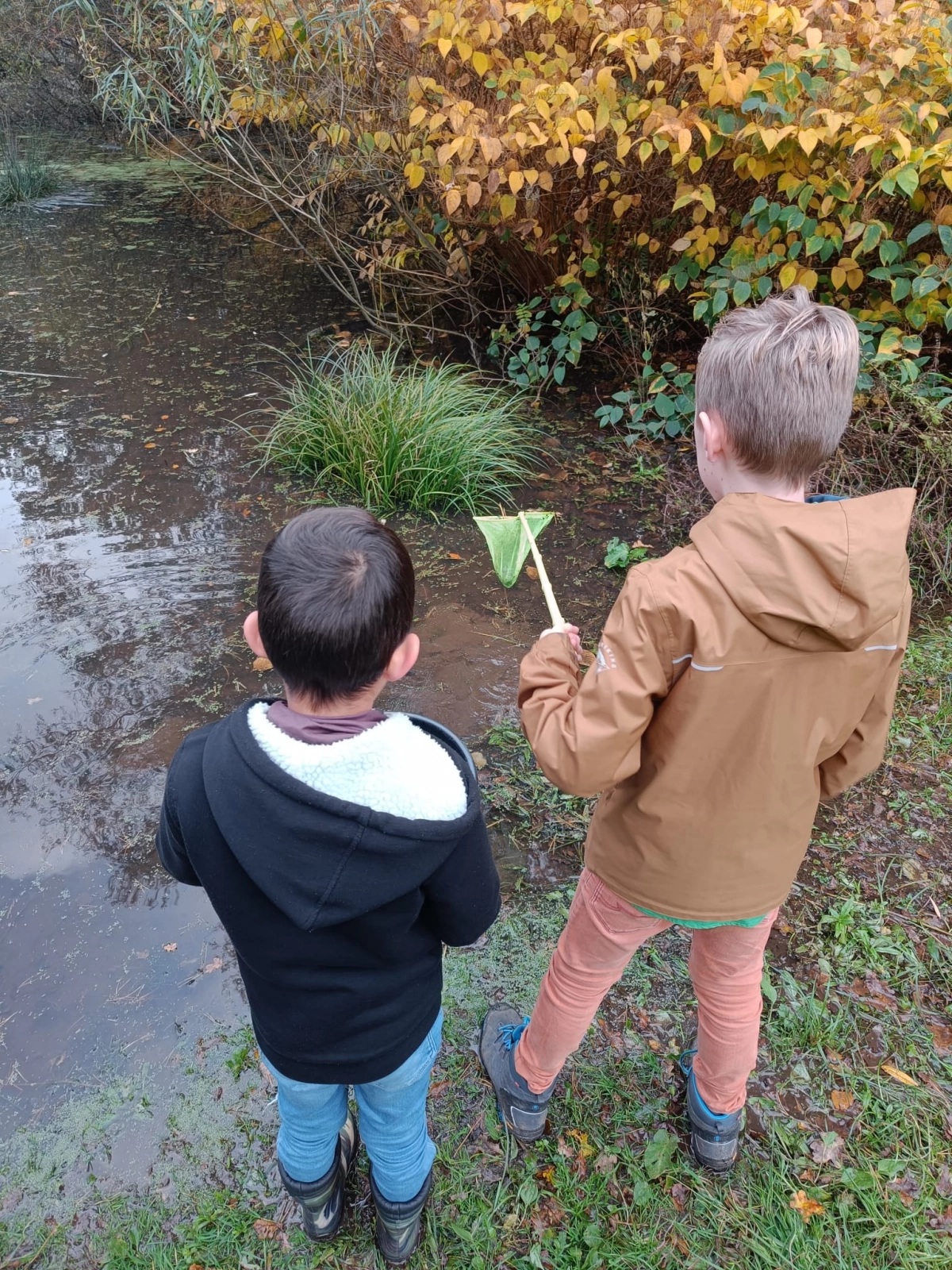 Beestjes zoeken en weer