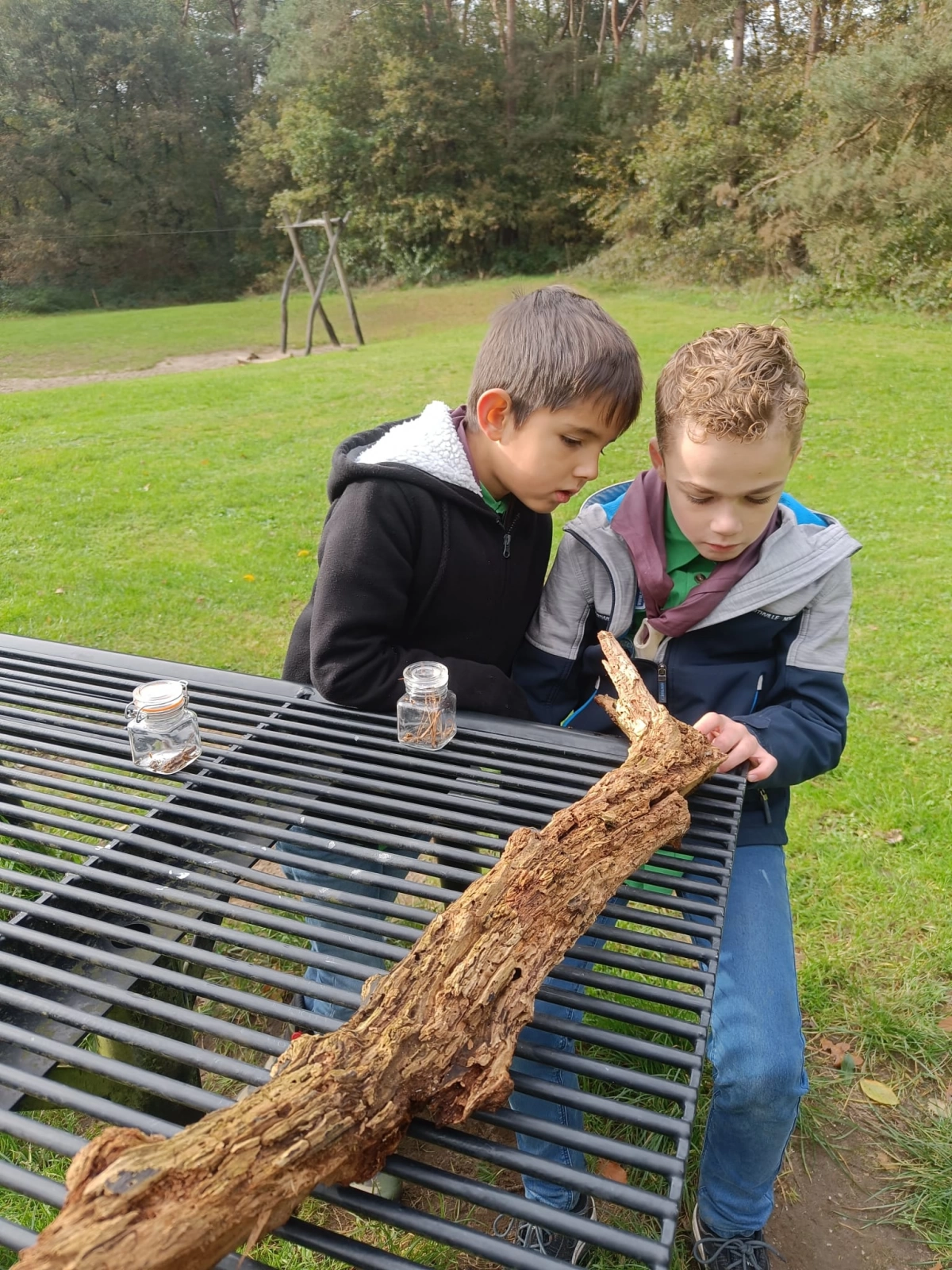 Beestjes zoeken en weer