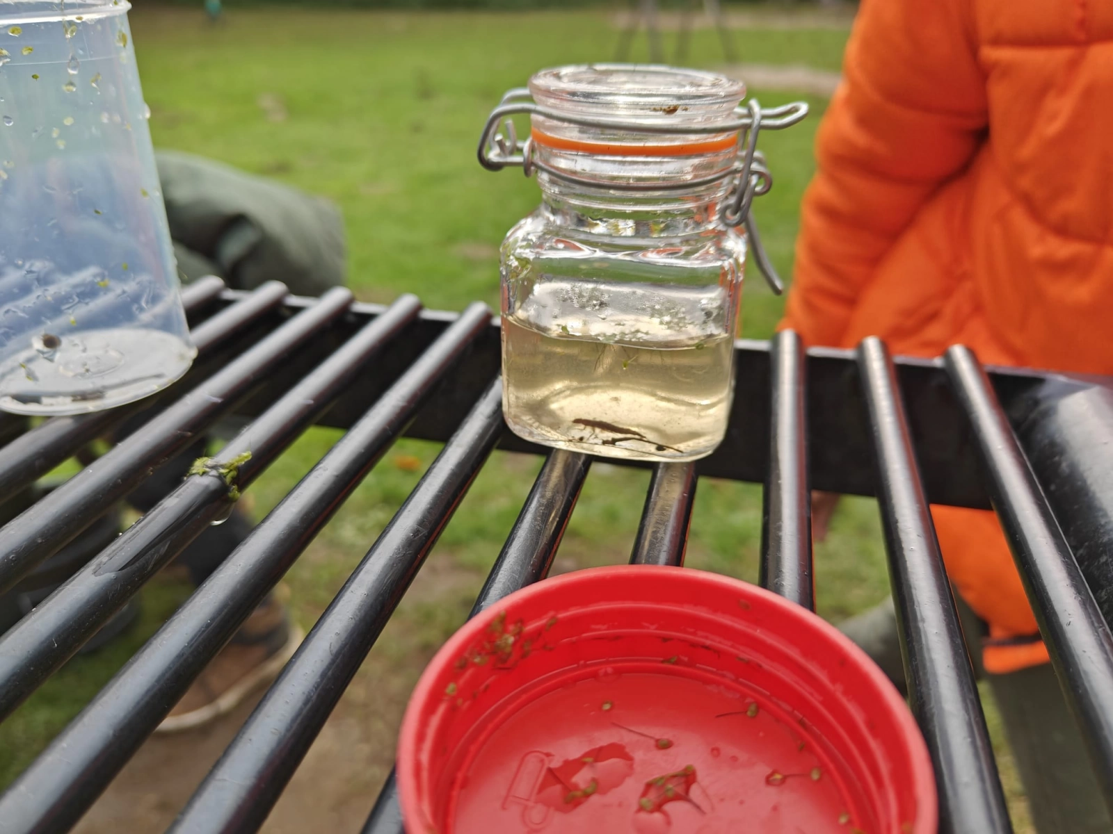 Beestjes zoeken en weer