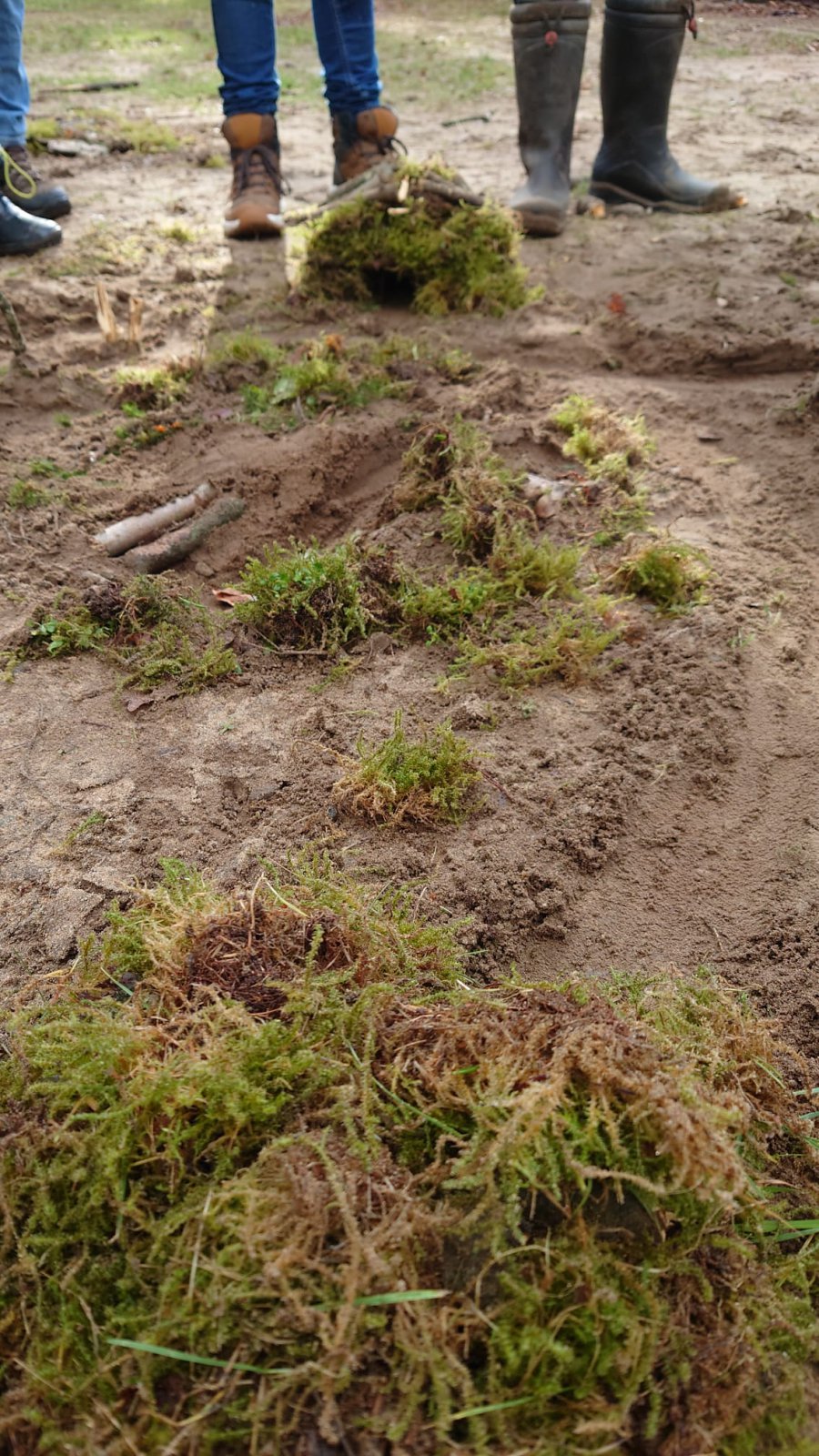 Tussen kunst en natuur