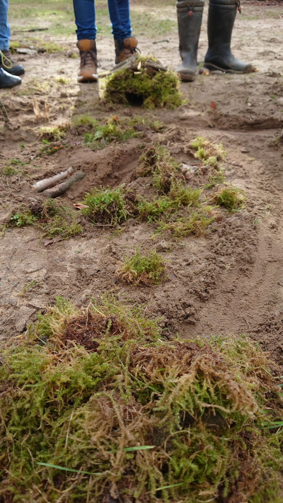 Tussen kunst en natuur