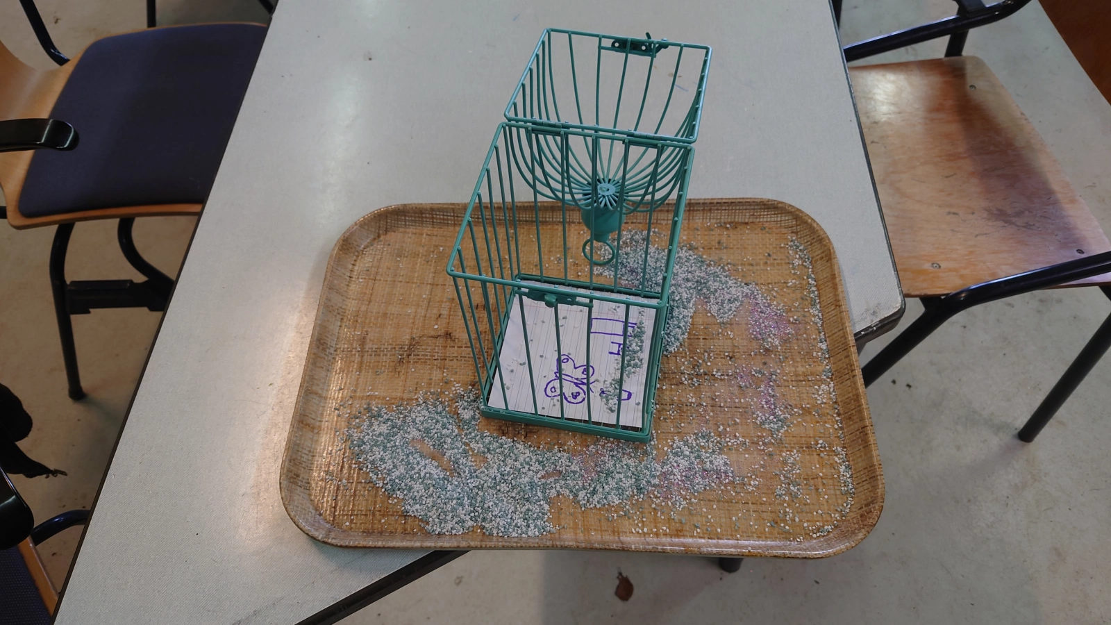 Met Peter Pan op kamp