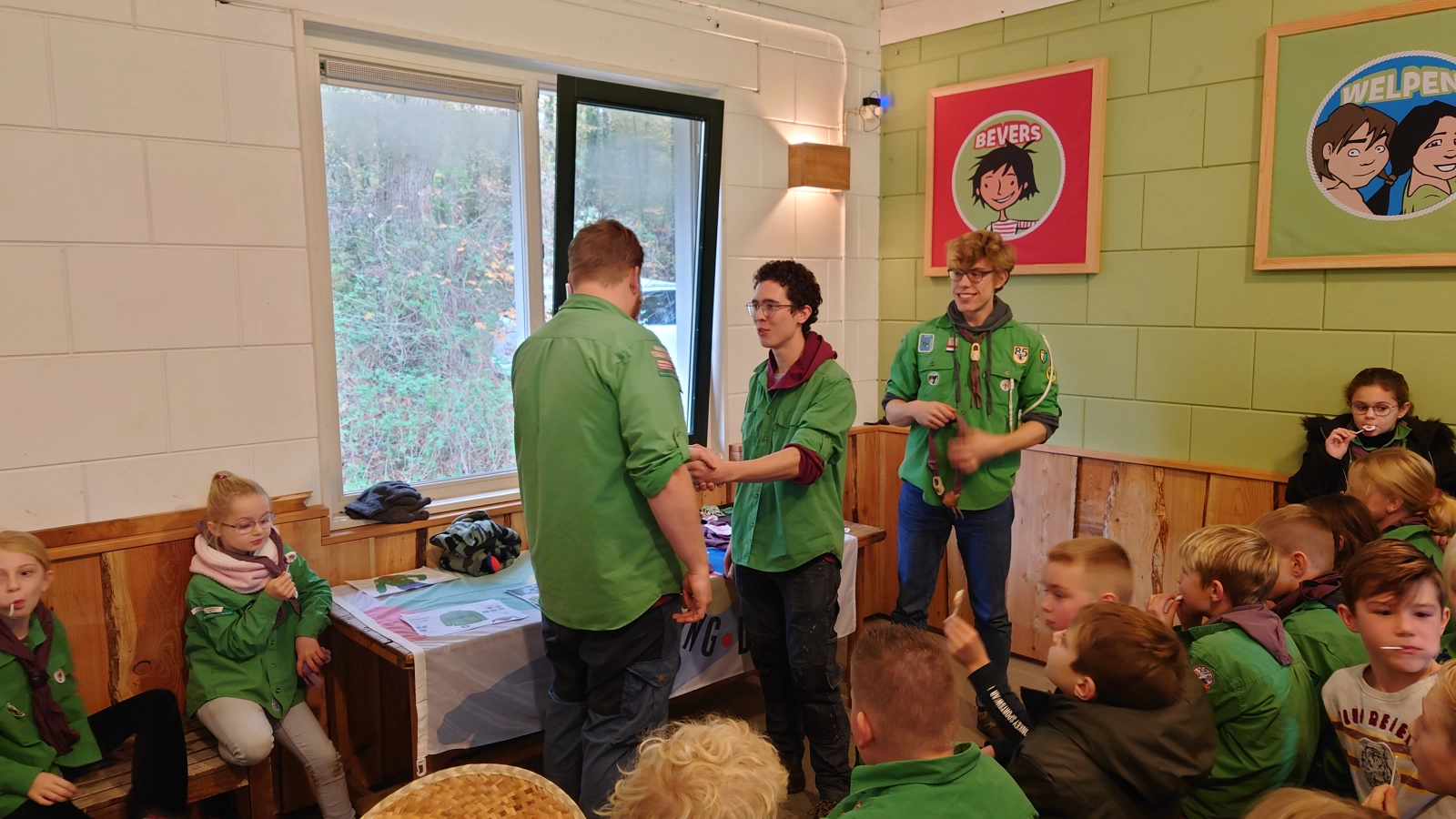 Installatie welpen Installatie welpen