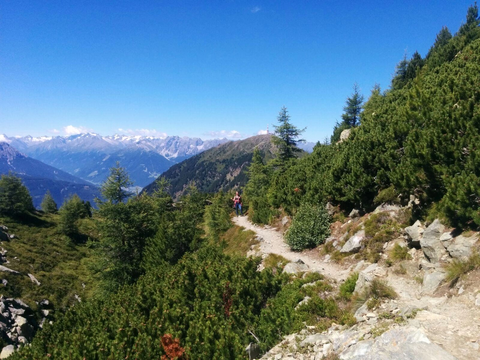 Zomerkamp 2017 Innsbruck zonder broek! Zomerkamp 2017 Innsbruck zonder broek!