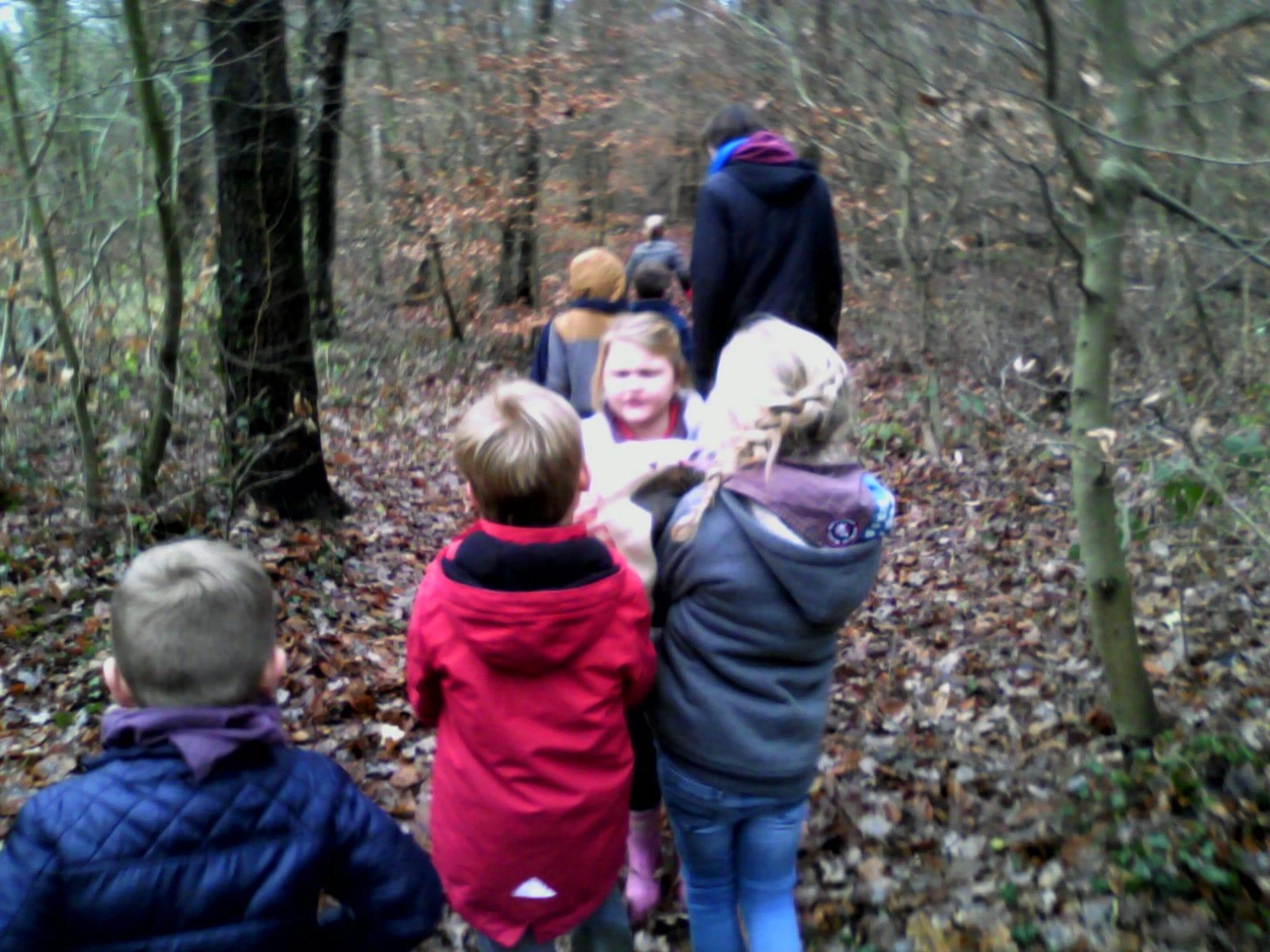 Sinterklaas bij de Bevers