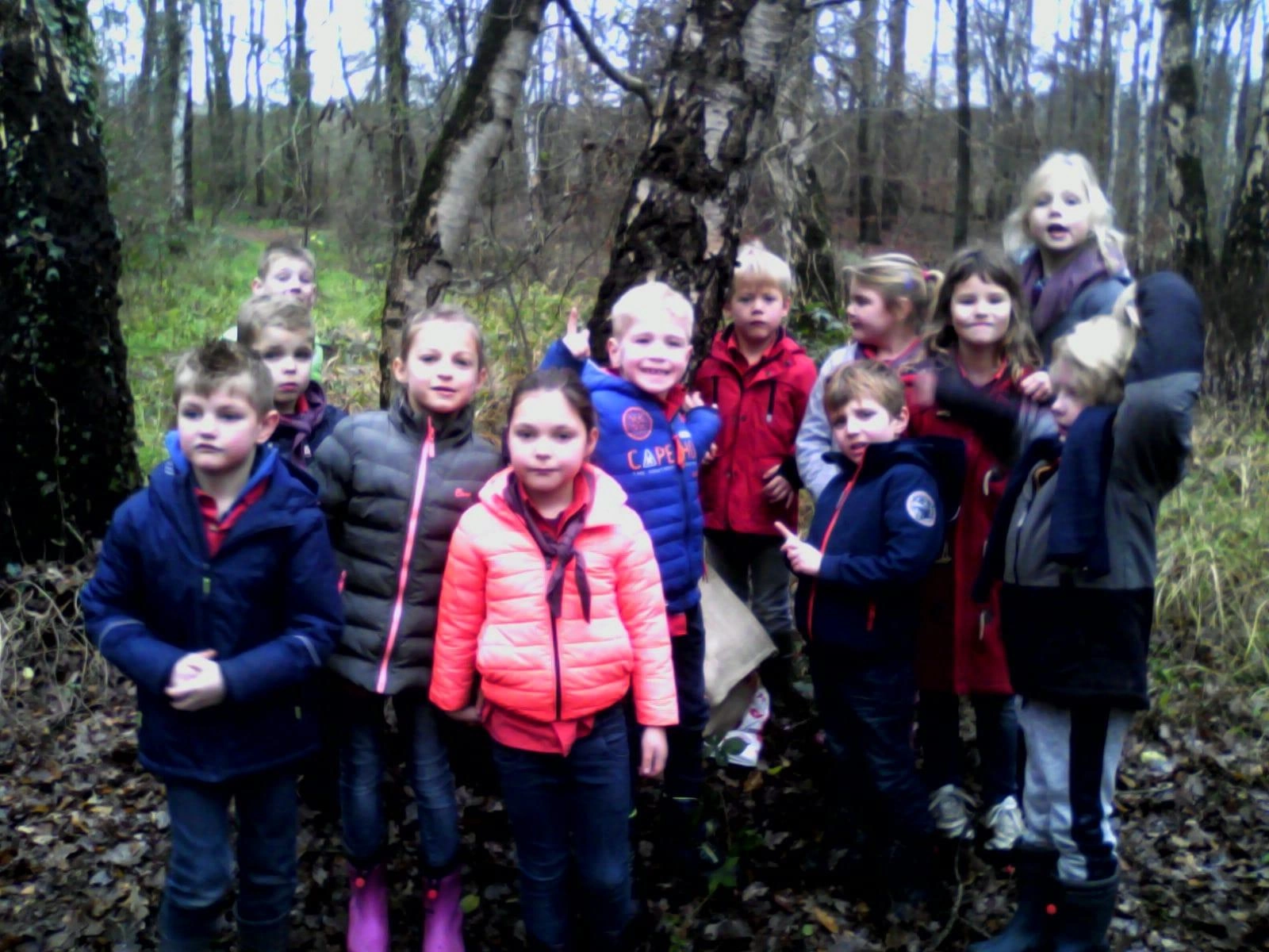 Sinterklaas bij de Bevers