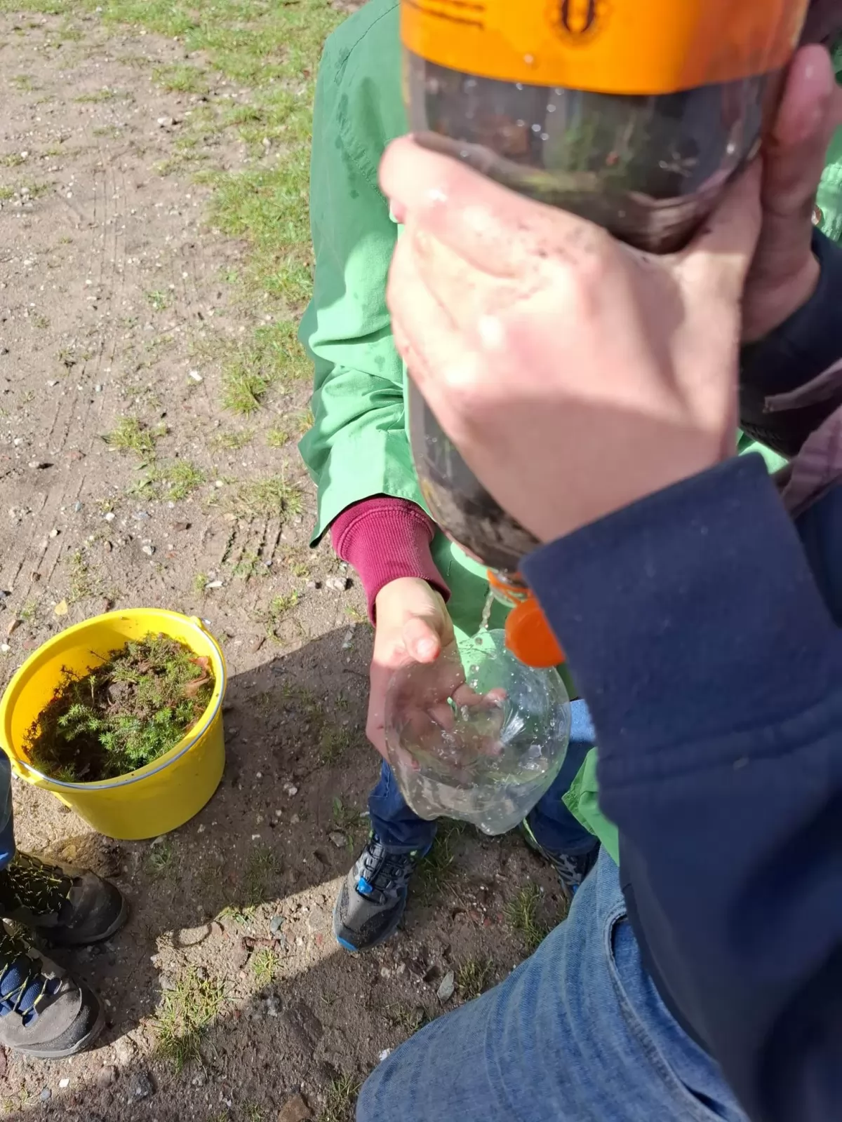 Water filteren en stamboom maken Water filteren en stamboom maken