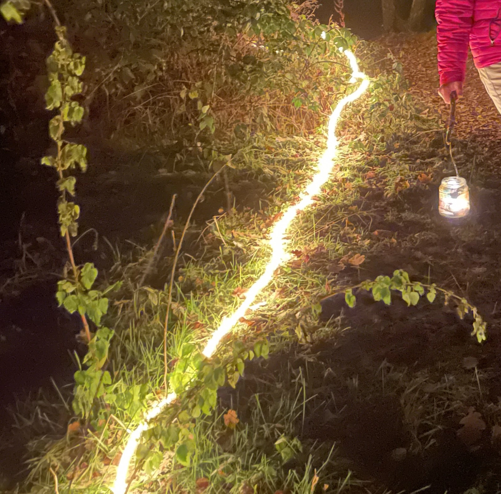 Eindejaars Lichtspektakel Eindejaars Lichtspektakel