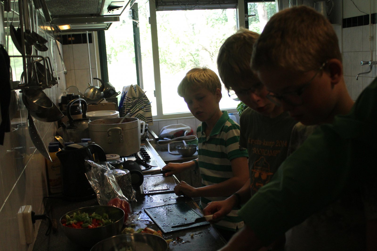 100 jaar welpen festival! - zomerkamp 2020