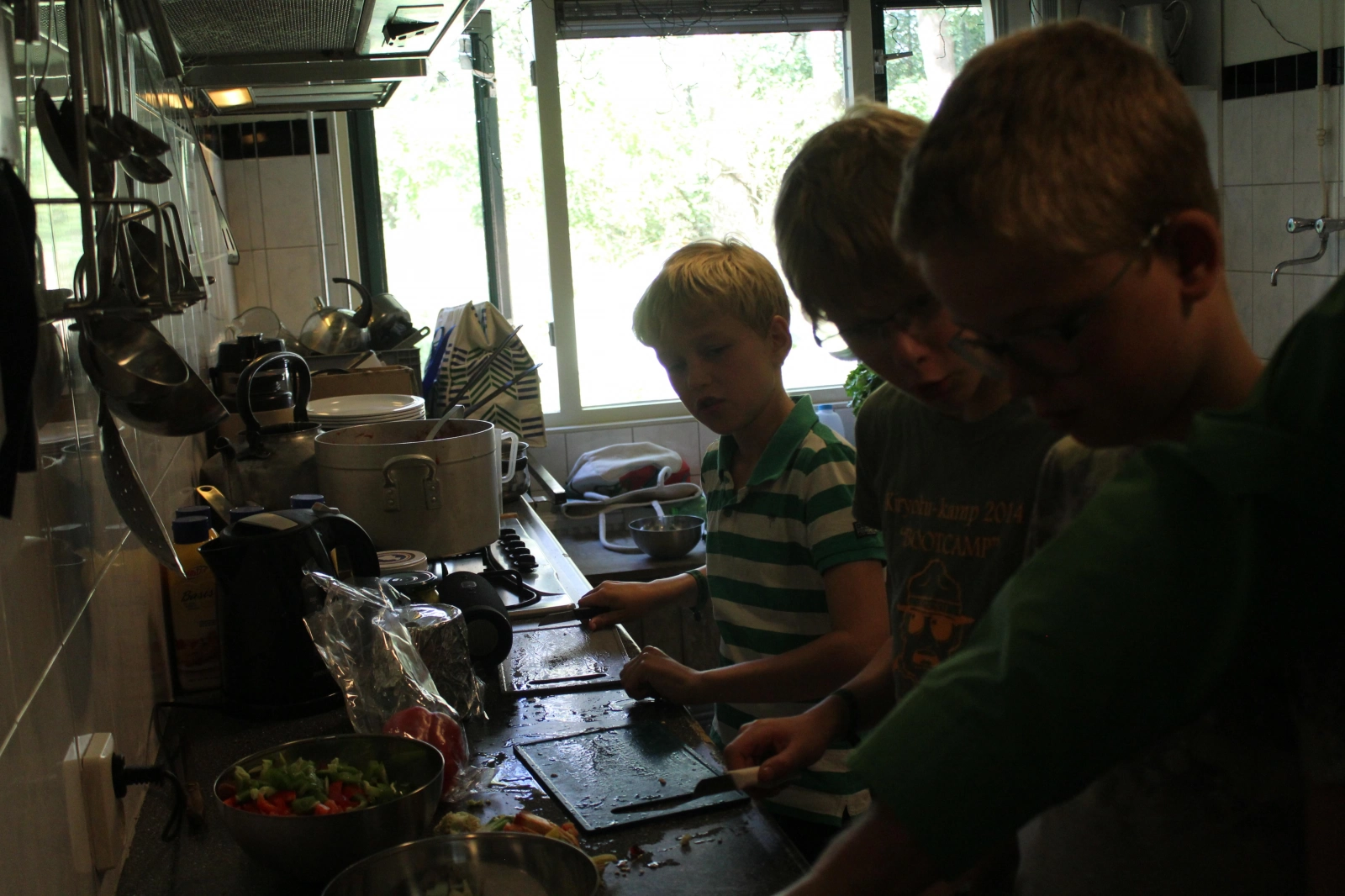 100 jaar welpen festival! - zomerkamp 2020