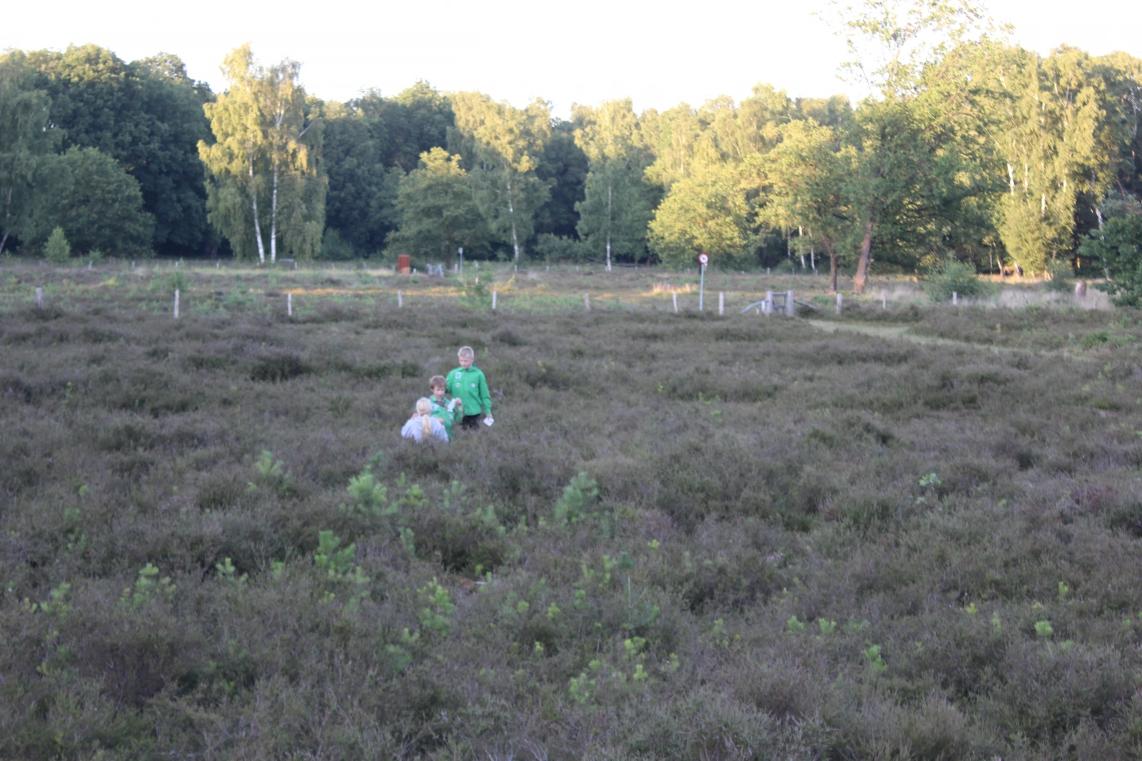 100 jaar welpen festival! - zomerkamp 2020