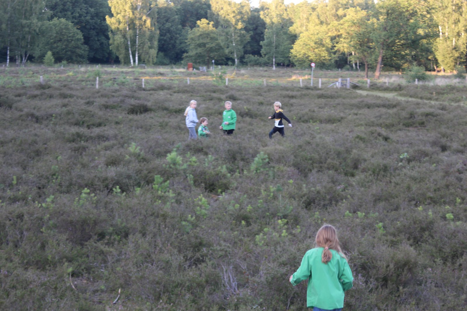 100 jaar welpen festival! - zomerkamp 2020
