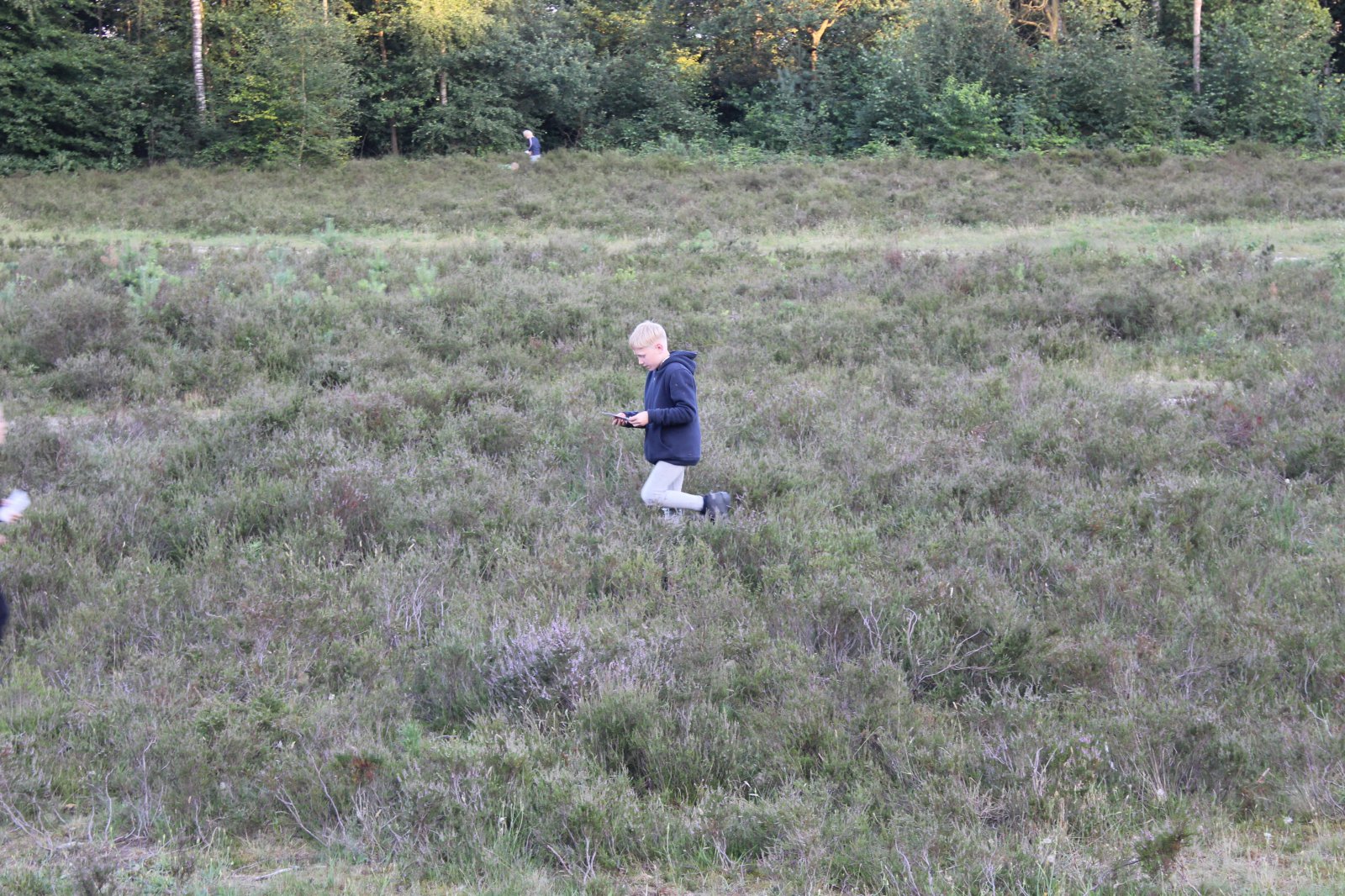 100 jaar welpen festival! - zomerkamp 2020