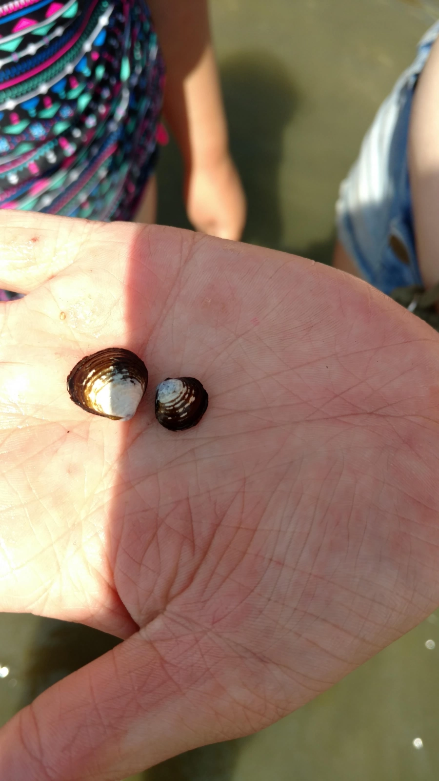 Zomerkamp 2017 Ghostbusters!