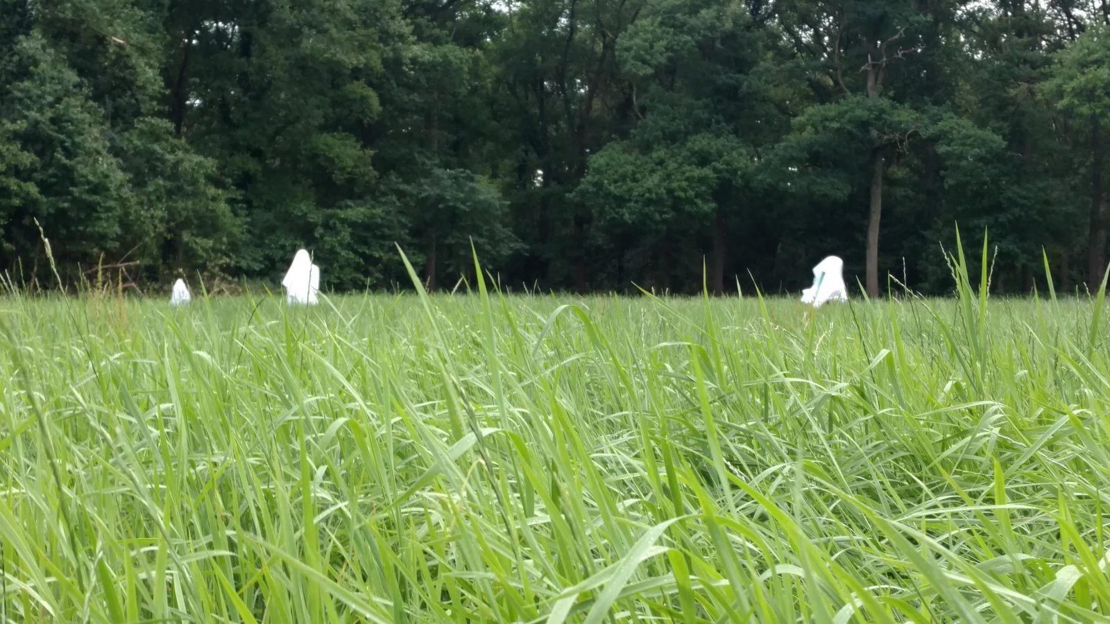 Zomerkamp 2017 Ghostbusters!