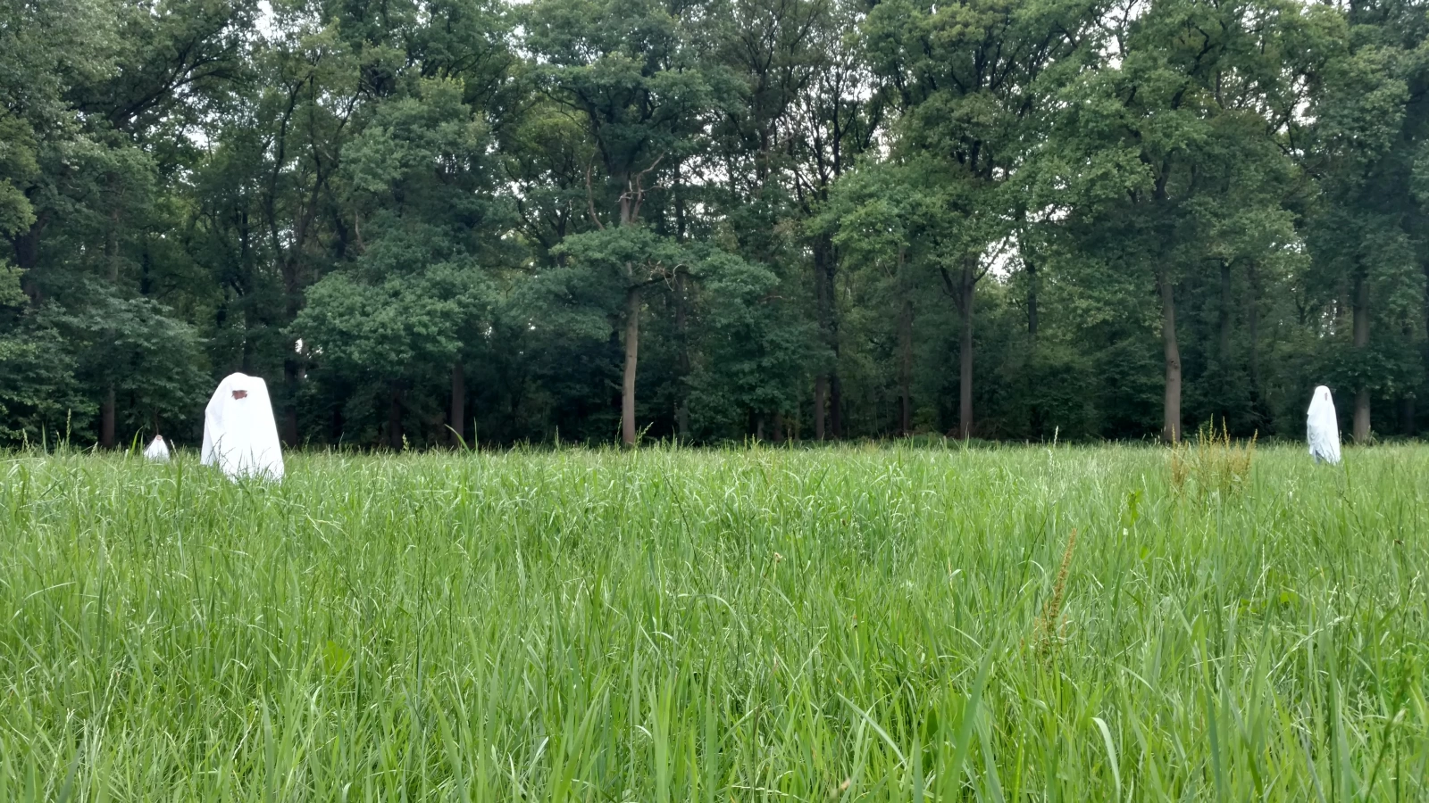 Zomerkamp 2017 Ghostbusters!