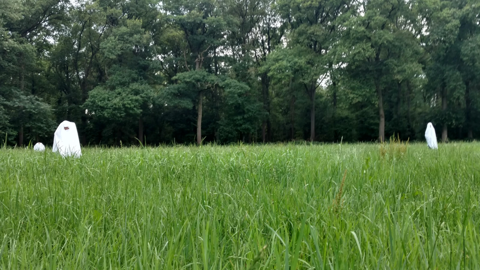 Zomerkamp 2017 Ghostbusters!