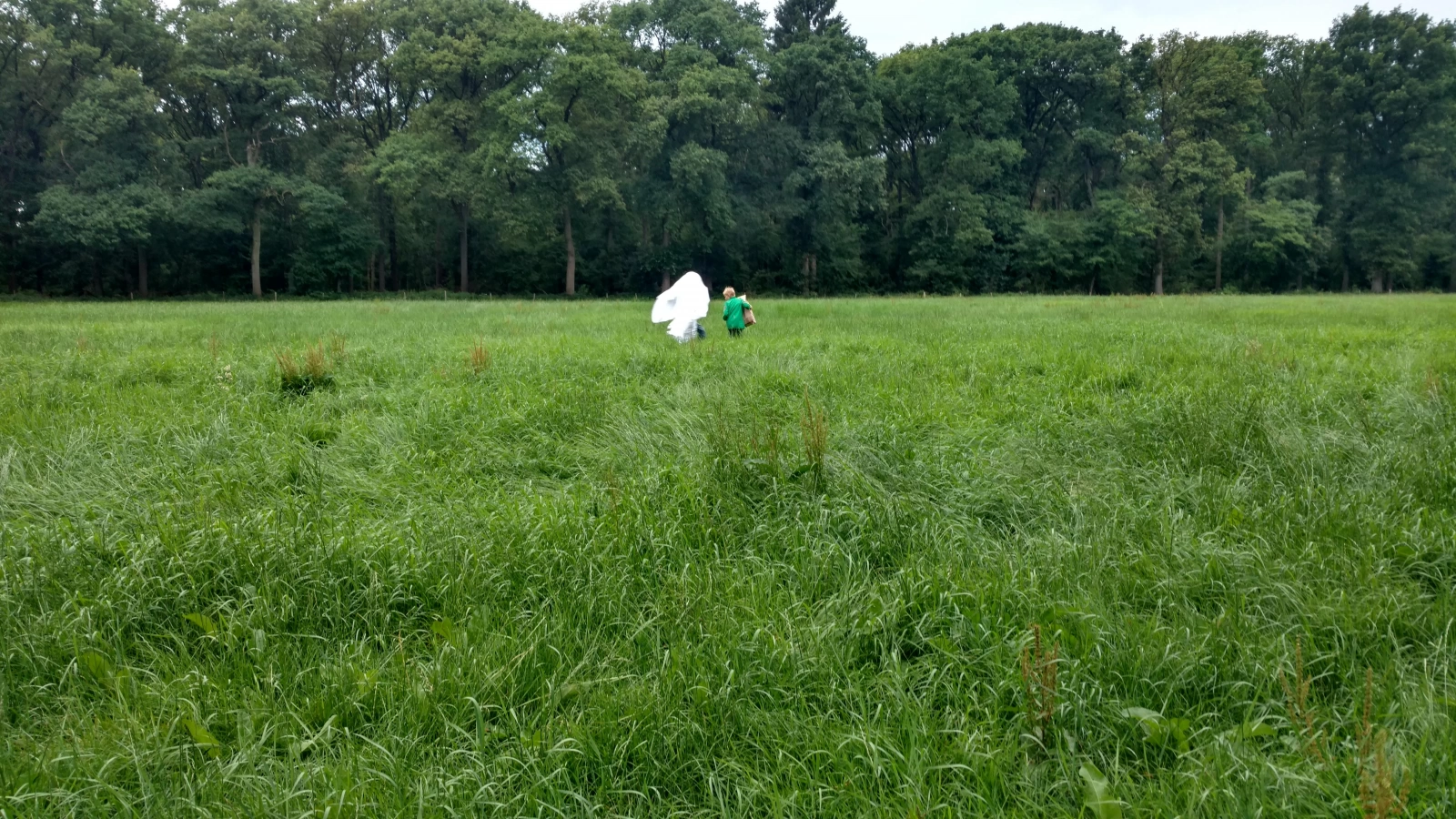 Zomerkamp 2017 Ghostbusters!