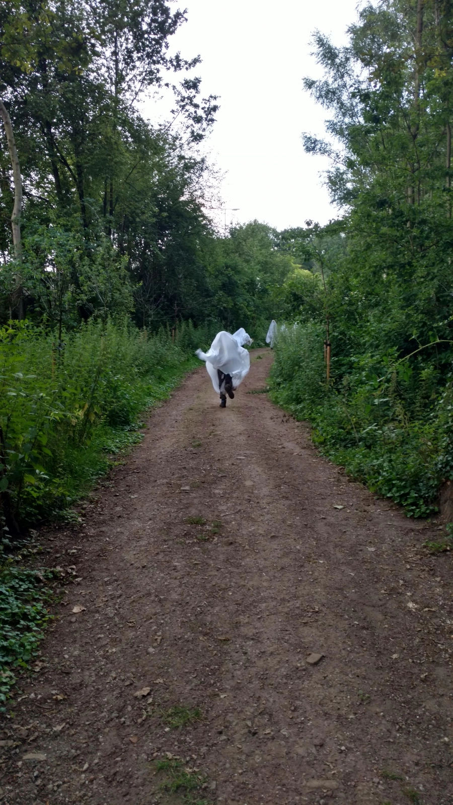 Zomerkamp 2017 Ghostbusters!