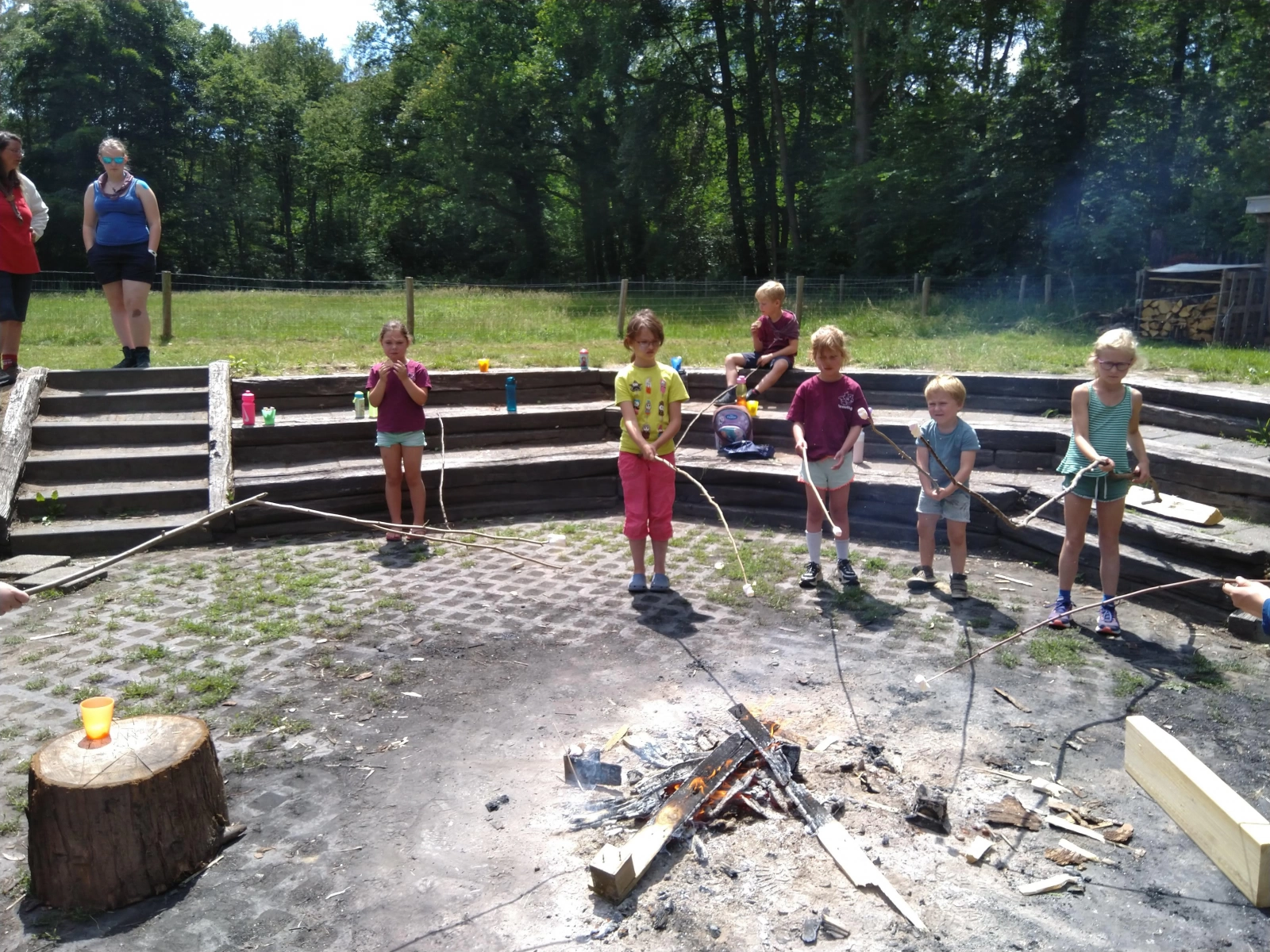 Opkomsten mei en juni