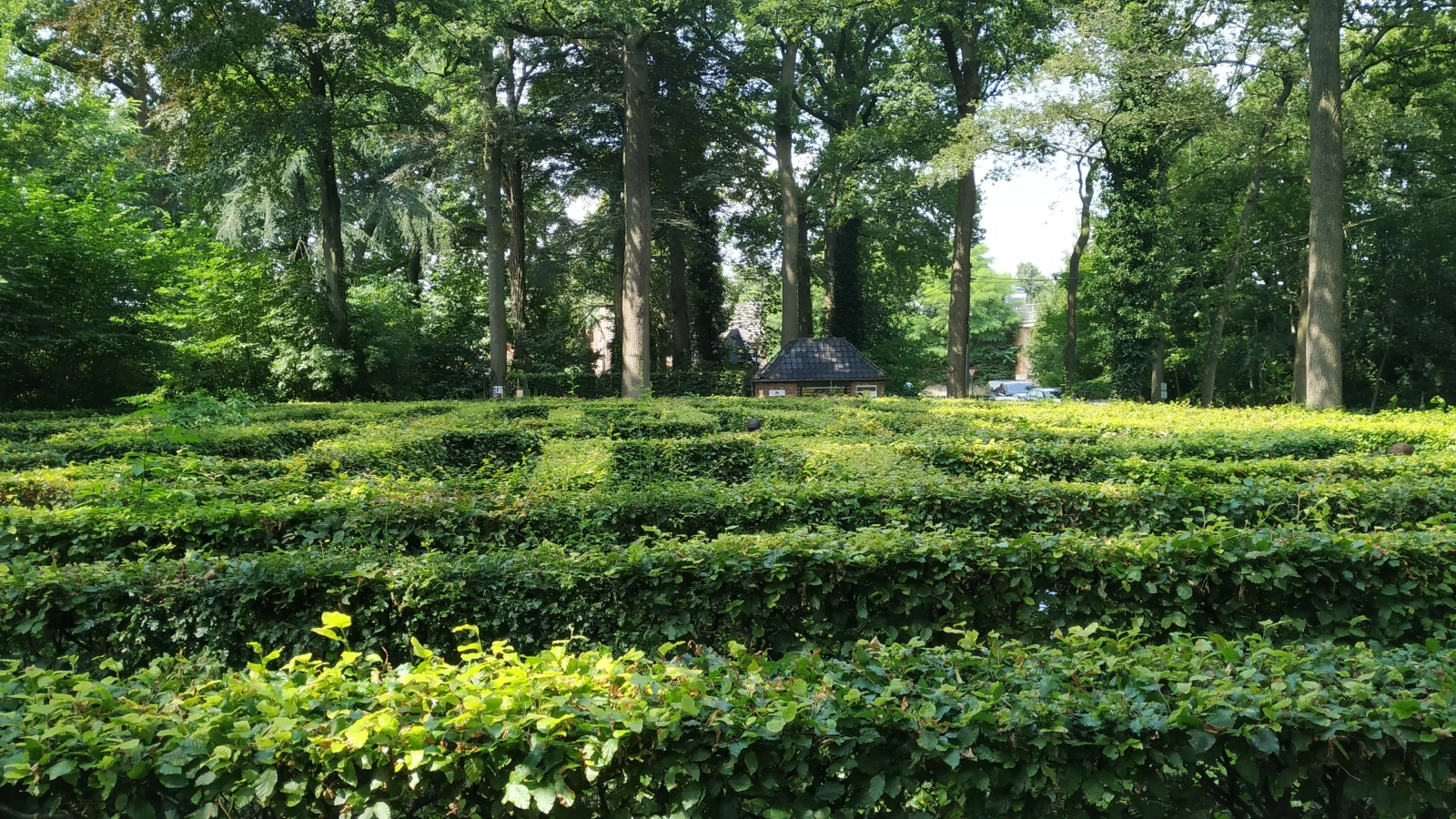 Zomerkamp Heckto: Merkenveld Brugge Zomerkamp Heckto: Merkenveld Brugge